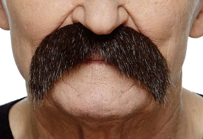 My Other Me Bigote One Size - Jeu de Société Multilingue (Espagnol, Anglais, Français, Italien, Portugais, Allemand) - Adulte - Multicolor My Other Me Bigote One Size - Jeu de Société Multilingue (Espagnol, Anglais, Français, Italien, Portugais, Allemand) - Adulte - Multicolor