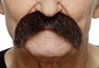 My Other Me Bigote One Size - Jeu de Société Multilingue (Espagnol, Anglais, Français, Italien, Portugais, Allemand) - Adulte - Multicolor