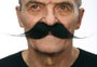 My Other Me Moustache noire taille unique