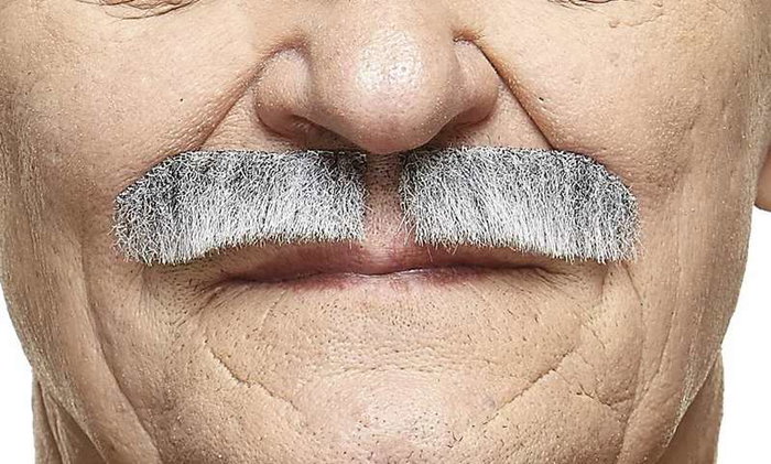 My Other Me Bigote One Size - Jeu de Société Multilingue (Espagnol, Anglais, Français, Italien, Portugais, Allemand) - Adulte - Multicolor My Other Me Bigote One Size - Jeu de Société Multilingue (Espagnol, Anglais, Français, Italien, Portugais, Allemand) - Adulte - Multicolor