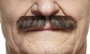 My Other Me - Bigote talla única - Moustache déguisement taille unique pour adulte multicolore