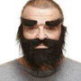 My Other Me - Accessoire de déguisement - Fausse barbe, moustache et sourcils pour adulte - Taille unique
