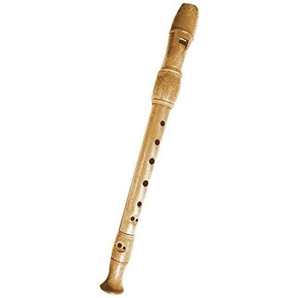 Reig Flûte en Bois - Instrument de Musique pour Enfant à Partir de 3 Ans
