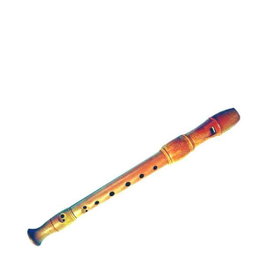 Reig Flûte en Bois - Instrument de Musique pour Enfant à Partir de 3 Ans