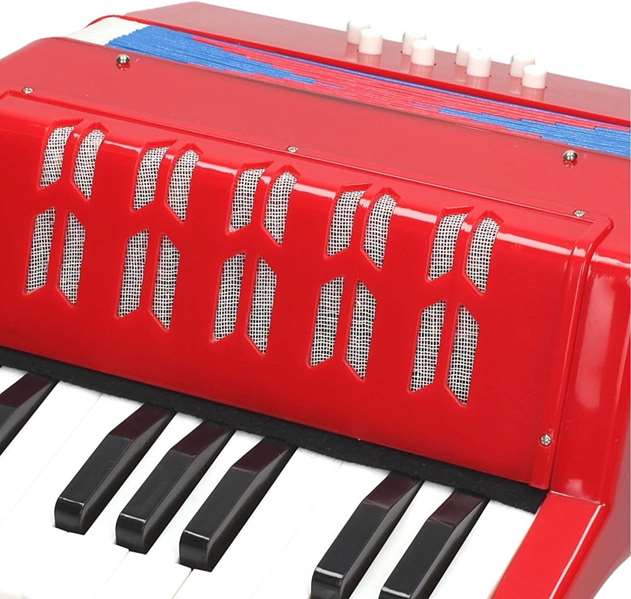 Reig Accordéon Jouet avec Clavier, Instrument Musical pour Enfants dès 3 Ans