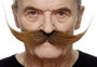 My Other Me Bigote One Size - Jeu de Société Multilingue (Espagnol, Anglais, Français, Italien, Portugais, Allemand) - Adulte - Multicolor