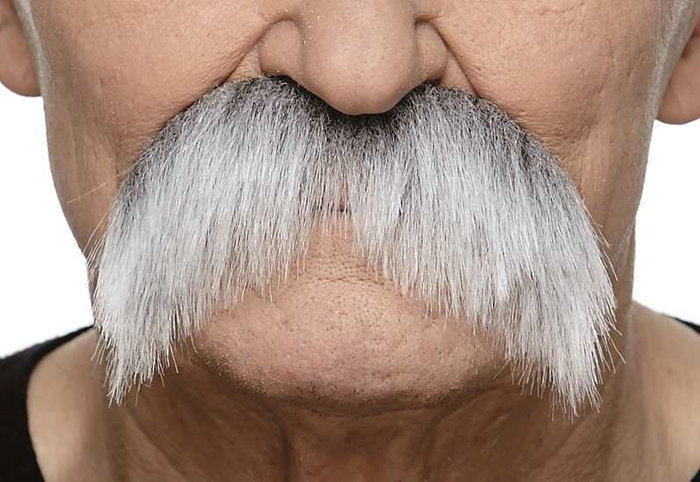 My Other Me - Moustache blanche taille unique - Déguisement / Accessoire en Multicolor - Version multilingue (Espagnol, Français, Anglais)