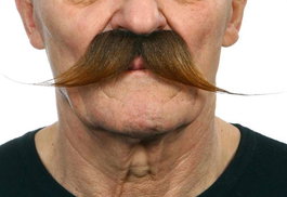 My Other Me - Bigote Castaño - Bigote Brun Postiche Taille Unique - Adulte - Multicolor - Langues: Espagnol, Anglais, Français, Italien, Portugais, Allemand