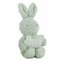 Coffret Bébé Coralina Jouet Peluche Couverture Lapin 100 x 75 cm