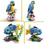 LEGO Creator 3-en-1 Loro Exótico 31136