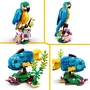 Lego Creator 3-en-1 31136, Perroquet Exotique - Figurine Animaux de la Jungle avec Grenouille et Poisson
