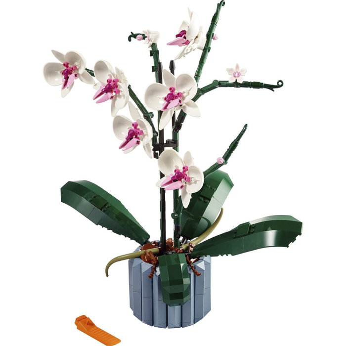 LEGO Orchidée 10311 de la collection Botanical LEGO Orchidée 10311 de la collection Botanical