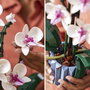 LEGO Orchidée 10311 de la collection Botanical