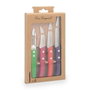 Amefa Ensemble de Couteaux Forest Color 4 Pièces