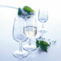 Arcoroc Viticole Verre à Vin 21.5 cL - Lot de 6