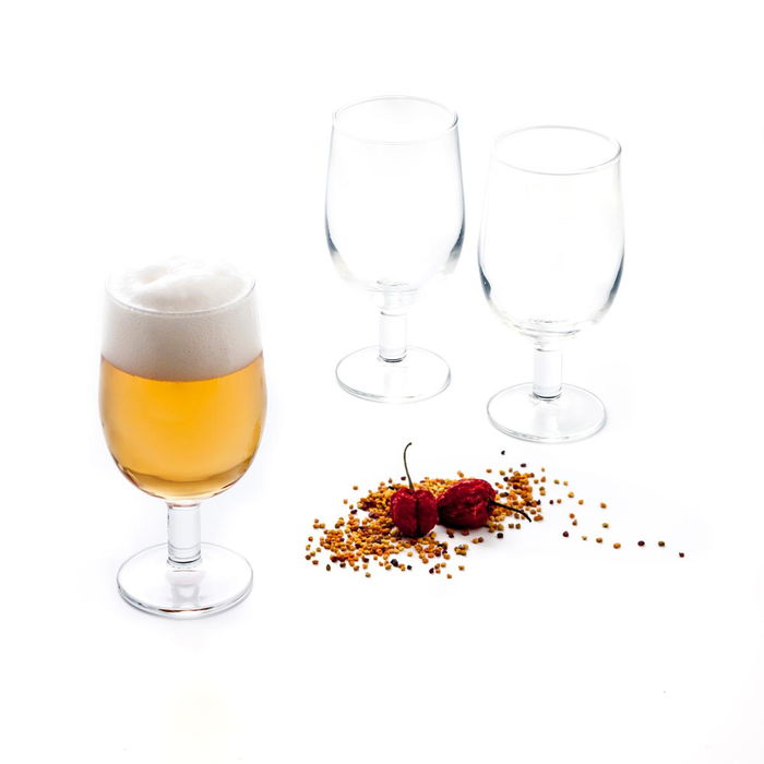 Verre à bière Arcoroc CAMPANA Transparent verre 290 ml Bière (6 Unités)