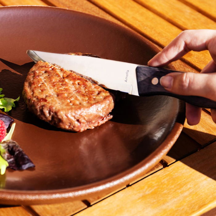 Couteau pour côtelettes Amefa Hercule Marron Métal 6 Unités 25 cm (Pack 6x)
