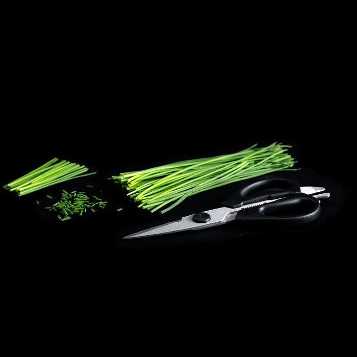 Quid Ciseaux de Cuisine Veggy 21 cm (12 Unités) en Métal, Poignées Bakélite, Multicolor