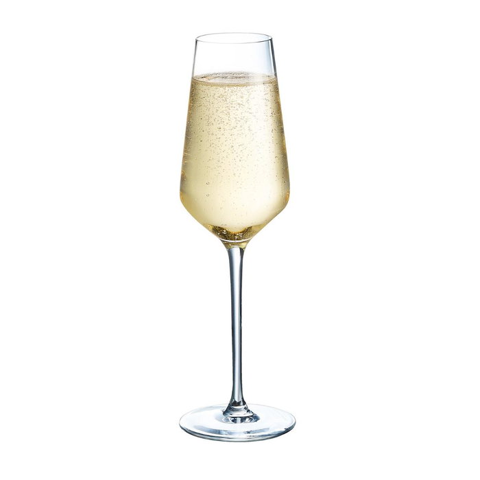 Chef & Sommelier Verres à champagne Distinction 23 cL - Lot de 6