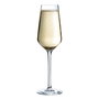 Chef & Sommelier Verres à champagne Distinction 23 cL - Lot de 6
