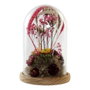 DKD Home Decor Figurine Décorative Verre Fleurs Bois MDF
