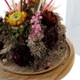 DKD Home Decor Figurine Décorative Verre Fleurs Bois MDF