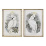 DKD Home Decor Cadre Colonial Perroquet en Verre, 50 x 2,8 x 70 cm (Lot de 2)