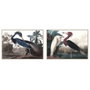 DKD Home Decor Toile Oiseau Oriental 123 x 4,5 x 83 cm