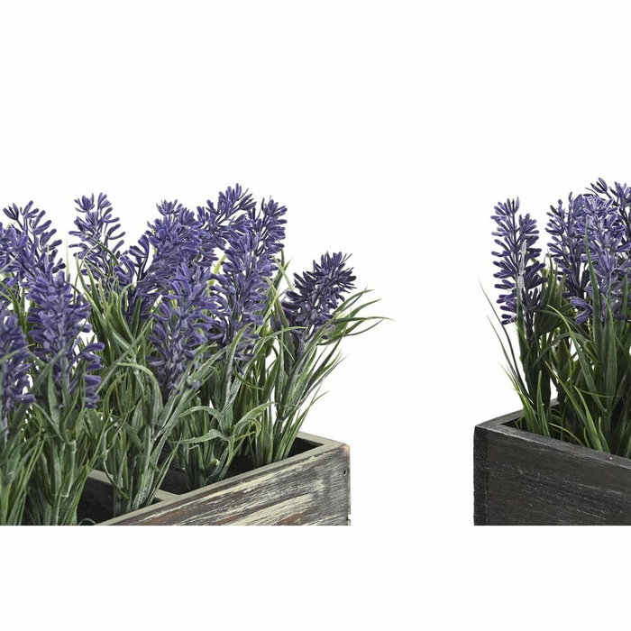 Plante décorative DKD Home Decor Bois Polyéthylène 32 x 14 x 19,5 cm (2 Unités) Plante décorative DKD Home Decor Bois Polyéthylène 32 x 14 x 19,5 cm (2 Unités)