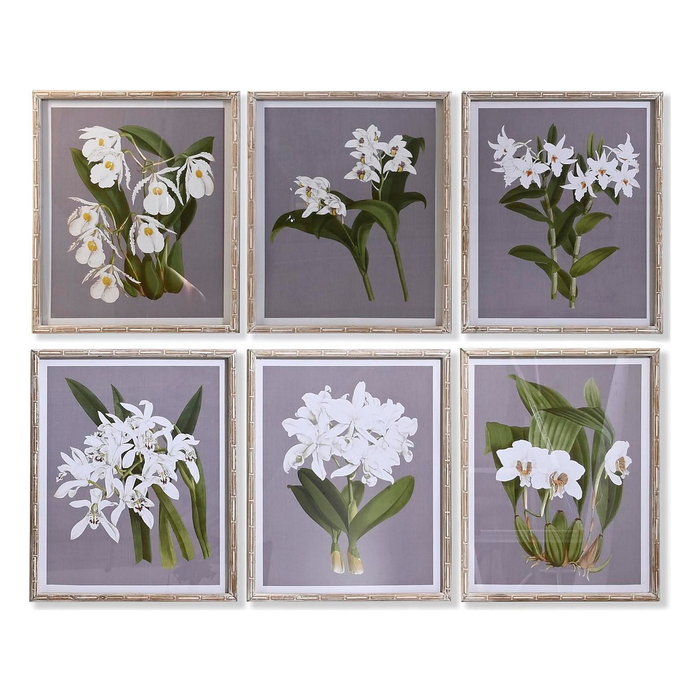 DKD Home Decor Cadre Verre Sapin Fleurs 50 x 60 x 2,8 cm (Lot de 6) DKD Home Decor Cadre Verre Sapin Fleurs 50 x 60 x 2,8 cm (Lot de 6)