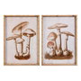 DKD Home Decor Cadre Champignons en Verre, 50 x 70 x 2,8 cm (Lot de 2)
