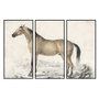 DKD Home Decor Ensemble de 3 Toiles Décoratives Motif Cheval Noir et Gris