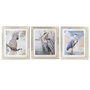 DKD Home Decor Toile décorative Oiseaux méditerranéen
