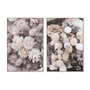 DKD Home Decor Toile Fleurs Cottage Beige 83 x 4,5 x 122,5 cm