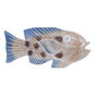 DKD Home Decor Figurine Décorative Poisson Méditerranéen Bleu et Naturel