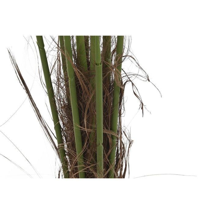 DKD Home Decor Plante décorative Palmier Vert (100 x 100 x 240 cm)
