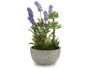 Ibergarden Plante Artificielle Lavande en Pot Ciment Gris Vert Violet 23x31x16 cm (Set de 8)