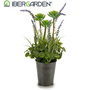 Ibergarden Pot Métal Lavande Modèles Assortis 13x40x13cm Plastique/Métal Violet Blanc Vert (Set de 12)