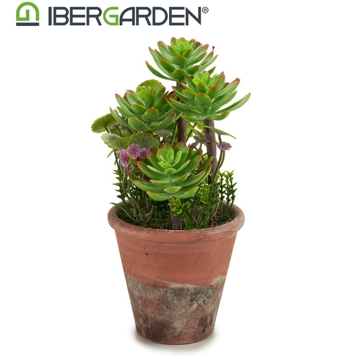 Ibergarden Macette Vieillie Moyenne 16x23x16 cm Plastique Vert et Marron (Set de 12) Ibergarden Macette Vieillie Moyenne 16x23x16 cm Plastique Vert et Marron (Set de 12)
