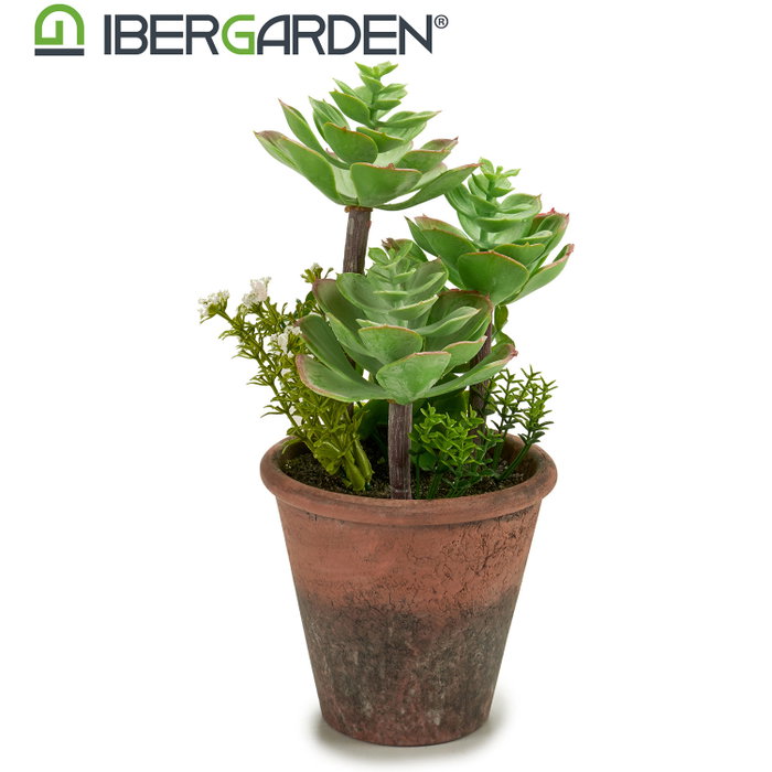 Ibergarden Macette Vieillie Moyenne 16x23x16 cm Plastique Vert et Marron (Set de 12) Ibergarden Macette Vieillie Moyenne 16x23x16 cm Plastique Vert et Marron (Set de 12)