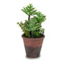 IBERGARDEN Lot de 12 Pots de Fleurs Effet Vieilli Vert-Marron