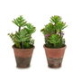 IBERGARDEN Lot de 12 Pots de Fleurs Effet Vieilli Vert-Marron