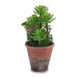 IBERGARDEN Lot de 12 Pots de Fleurs Effet Vieilli Vert-Marron