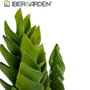 Ibergarden Cactus Plastique Echeveria 25 cm (Set de 6)