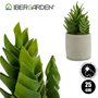Ibergarden Cactus Plastique Echeveria 25 cm (Set de 6)