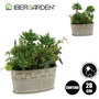 Ibergarden Pot Pierre Ovale Plantes Assorties 2 25x29x15 cm Plastique et Ciment Vert et Gris (Set de 6)
