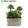 Ibergarden Pot Pierre Ovale Plantes Assorties 2 25x29x15 cm Plastique et Ciment Vert et Gris (Set de 6)