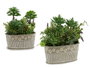 Ibergarden Pot Pierre Ovale Plantes Assorties 2 25x29x15 cm Plastique et Ciment Vert et Gris (Set de 6)