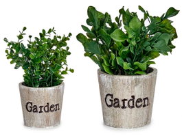Ibergarden Pot de fleurs Garden Planta Vert assortis modèle 16 x 22 x 16 cm plastique (Set de 12)