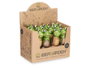 Ibergarden Humidificateur Céramique Grenouille Tortue Assorti 4x16x4 cm Vert Marron (Set de 48)